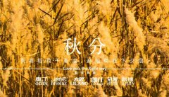 秋分丨晝夜分畫，漸入秋華