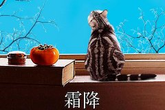 霜降丨縱然霜華盡染，心中美好如初