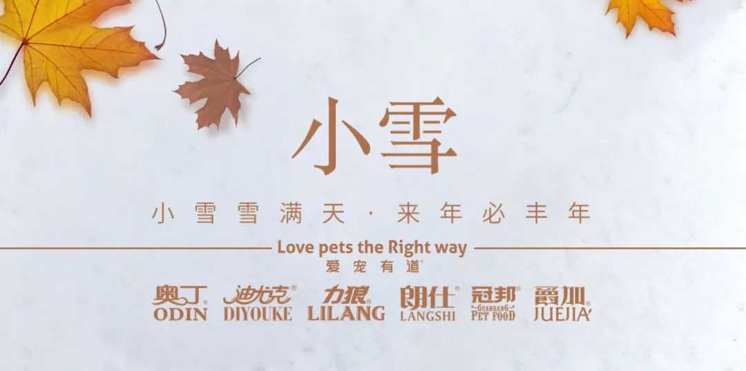 小雪丨天地初寒，歲月安暖